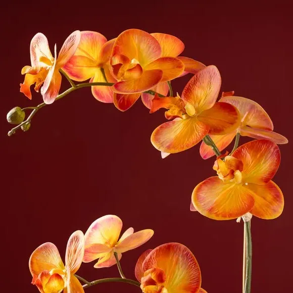 Artificial Orchid Plant - Orange, Ceramic Pot
