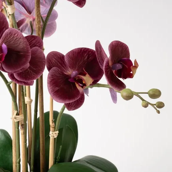 Artificial Orchid Plant - Pink, Ceramic Pot