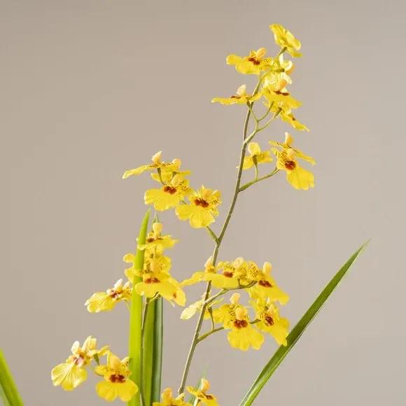 Artificial Orchid Spray with Pot - Yellow, Cement