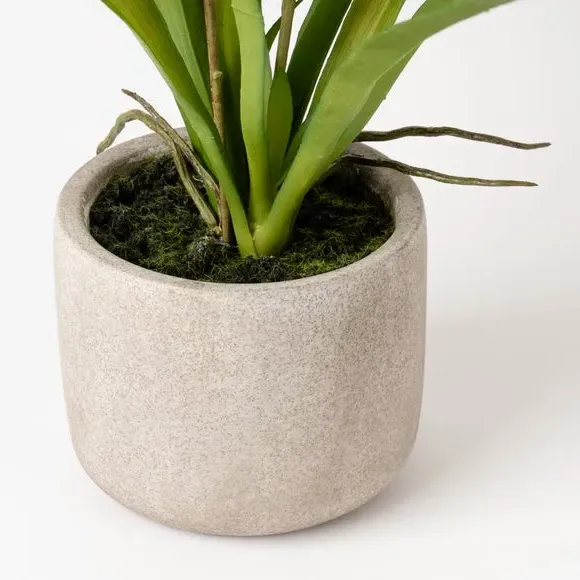 Artificial Orchid Spray with Pot - Yellow, Cement