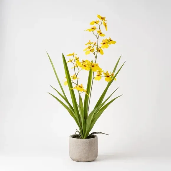 Artificial Orchid Spray with Pot - Yellow, Cement