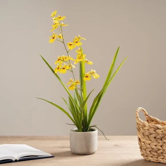 Artificial Orchid Spray with Pot - Yellow, Cement