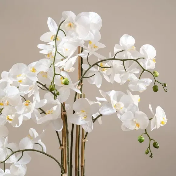 Artificial Orchid with Stone Pot - White