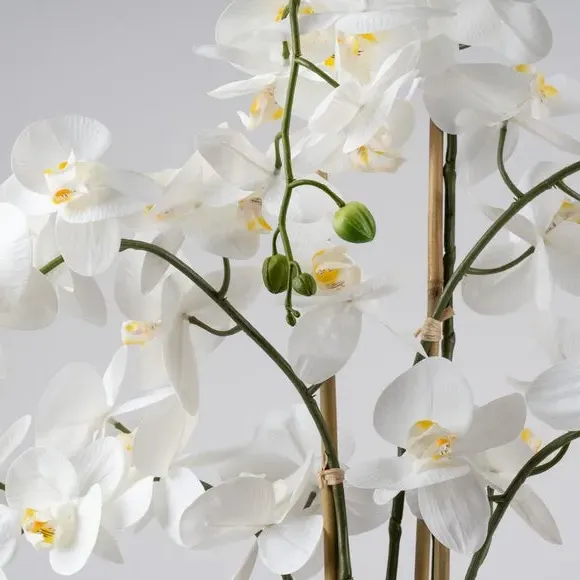 Artificial Orchid with Stone Pot - White