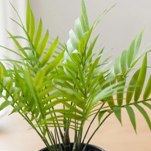 Artificial Palm Plant with Pot - Green, Plastic