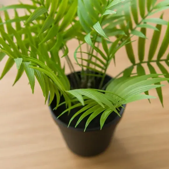 Artificial Palm Plant with Pot - Green, Plastic