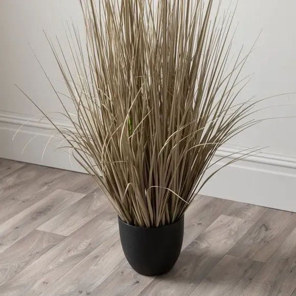 Artificial Pampas Grass Plant - Cream, Black Pot