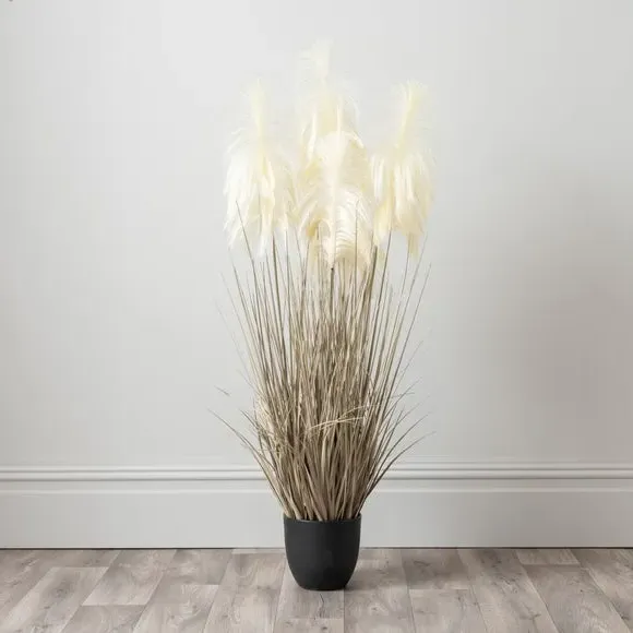 Artificial Pampas Grass Plant - Cream, Black Pot