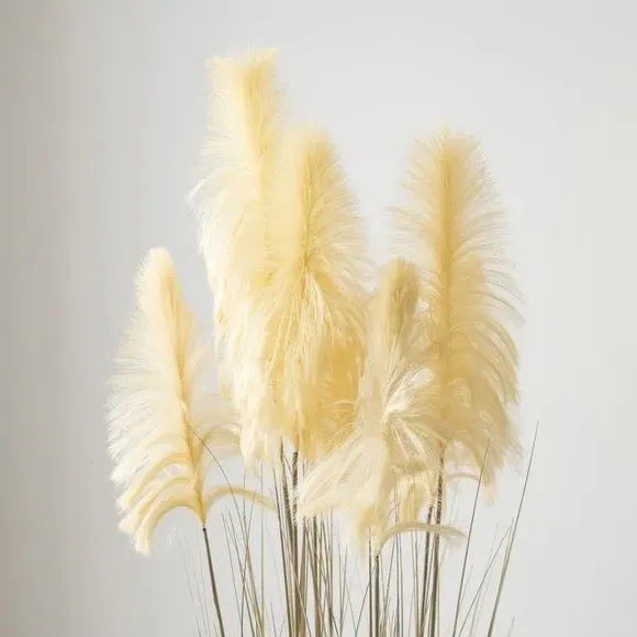 Artificial Pampas Grass Plant - Cream, Black Pot
