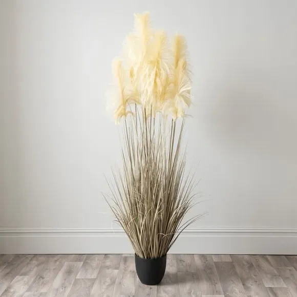 Artificial Pampas Grass Plant - Cream, Black Pot
