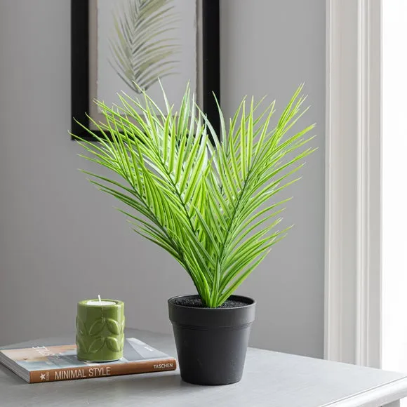 Artificial Parlour Plant - Green, Black Pot