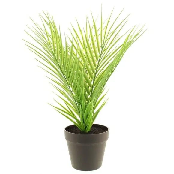 Artificial Parlour Plant - Green, Black Pot