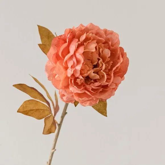 Artificial Peony Stem - Pink, Faux Dried