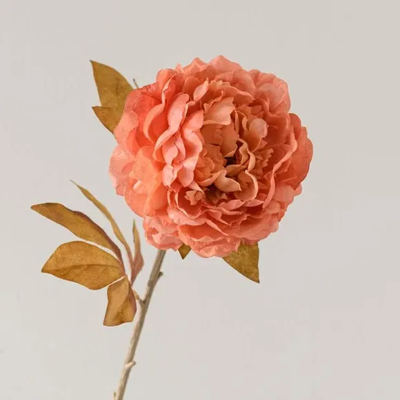 Artificial Peony Stem - Pink, Faux Dried