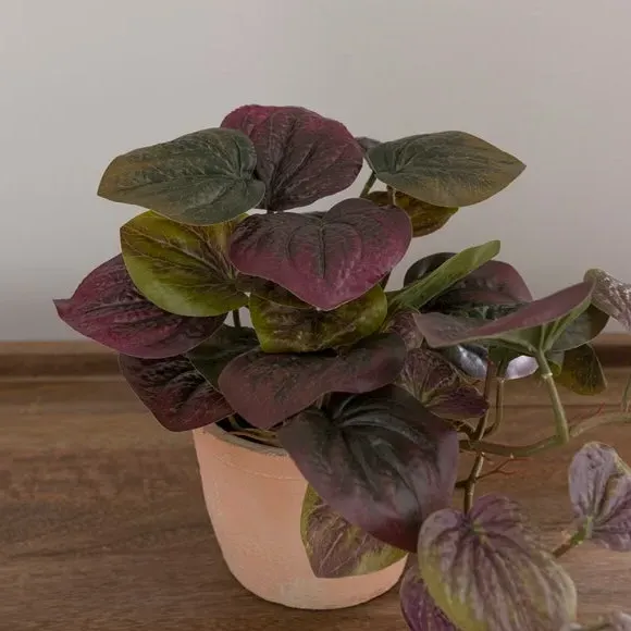 Artificial Peperomia Plant - Green, Cement Pot