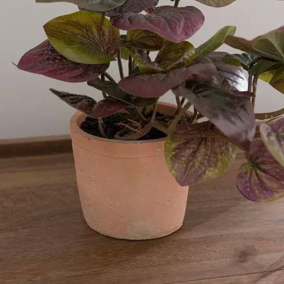 Artificial Peperomia Plant - Green, Cement Pot