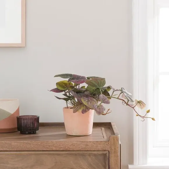 Artificial Peperomia Plant - Green, Cement Pot image