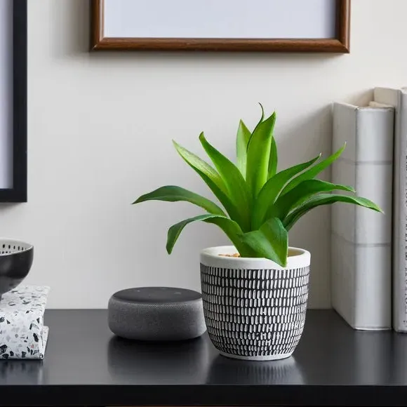 Artificial Plant in Pot - Multicolor, Cement image
