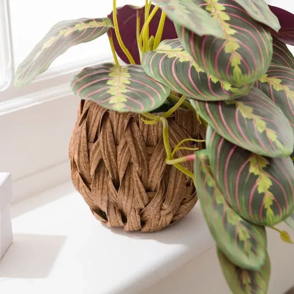 Artificial Prayer Plant with Woven Pot - Natural