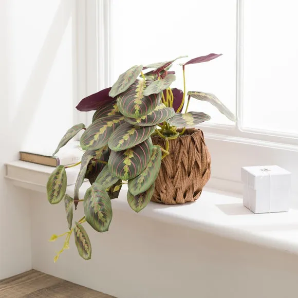 Artificial Prayer Plant with Woven Pot - Natural image
