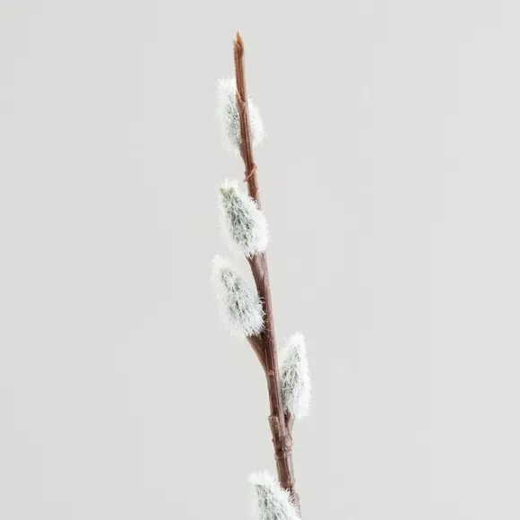 Artificial Pussy Willow Stem - White