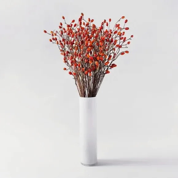 Artificial Rose Hip Stem - Red image