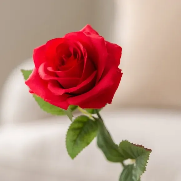 Artificial Rose Stem - Red, Plastic