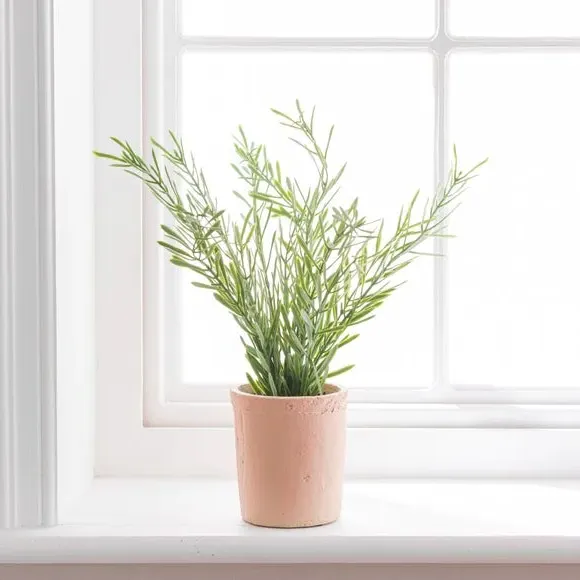 Artificial Rosemary Plant - Green, Cement Pot