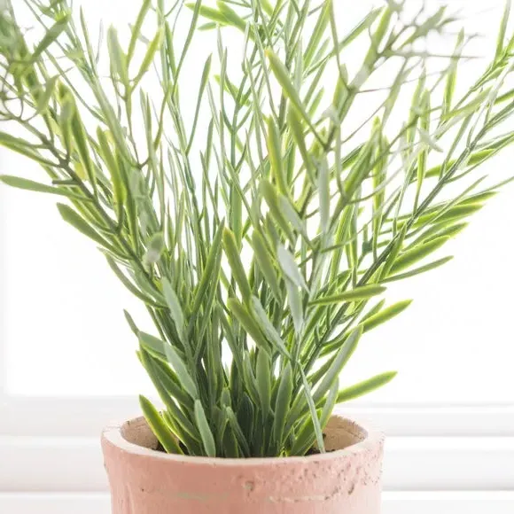 Artificial Rosemary Plant - Green, Cement Pot