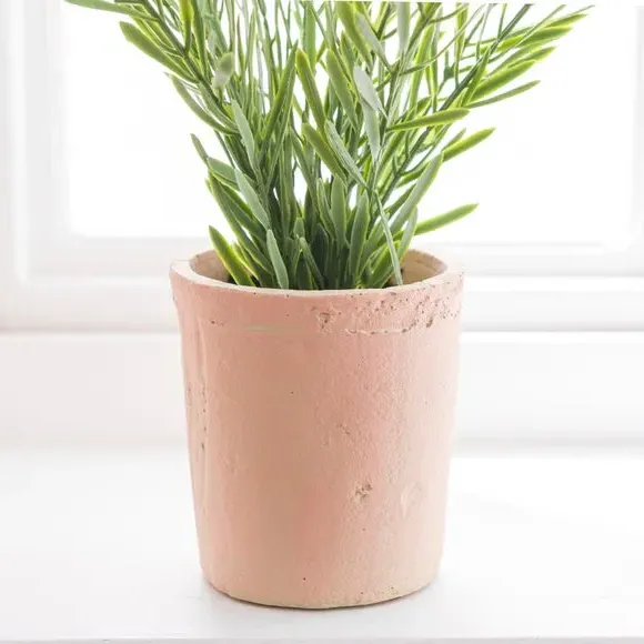Artificial Rosemary Plant - Green, Cement Pot