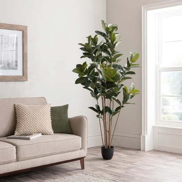 Artificial Rubber Tree in Pot - Green image