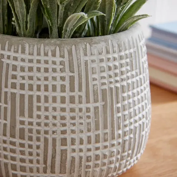 Artificial Salvia Plant - Grey, Cement Pot