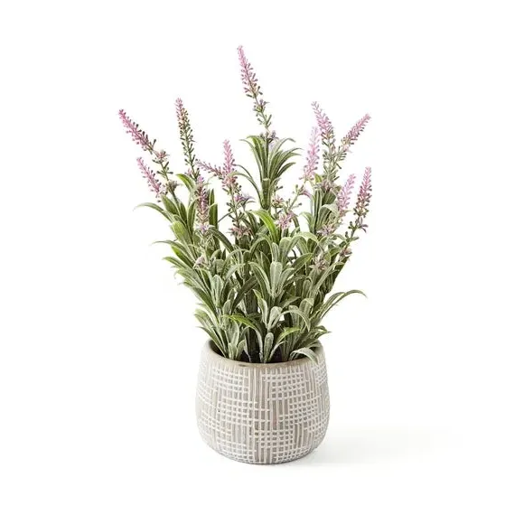 Artificial Salvia Plant - Grey, Cement Pot