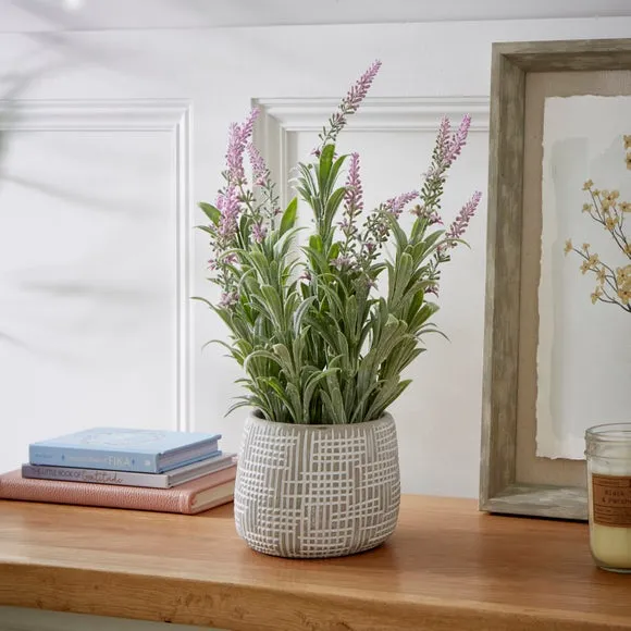 Artificial Salvia Plant - Grey, Cement Pot image