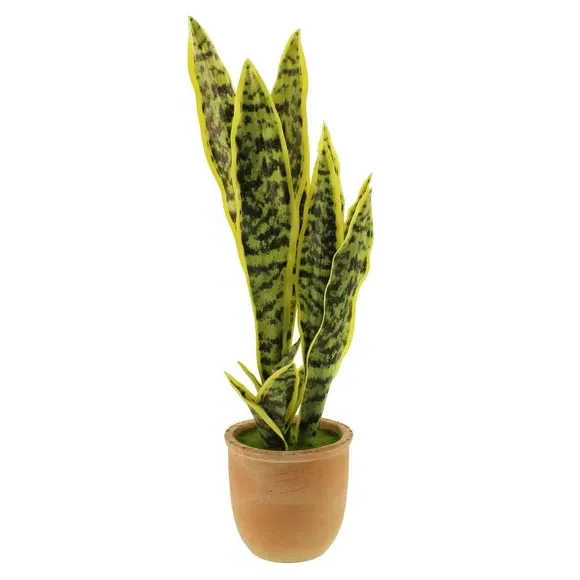 Artificial Sansevieria Plant - Green, Terracotta