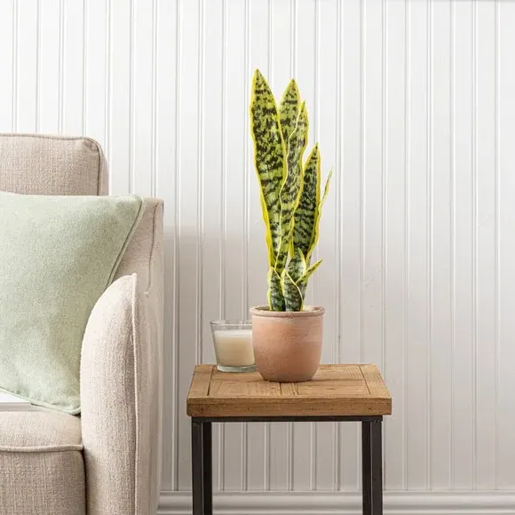 Artificial Sansevieria Plant - Green, Terracotta image