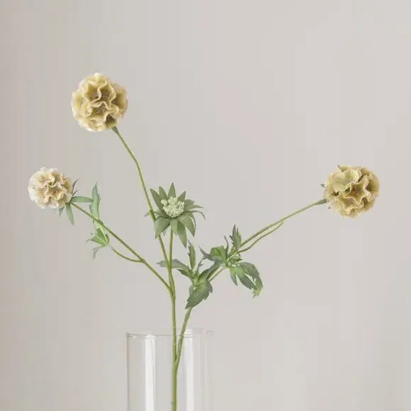 Artificial Scabiosa Stem - Green, Plastic
