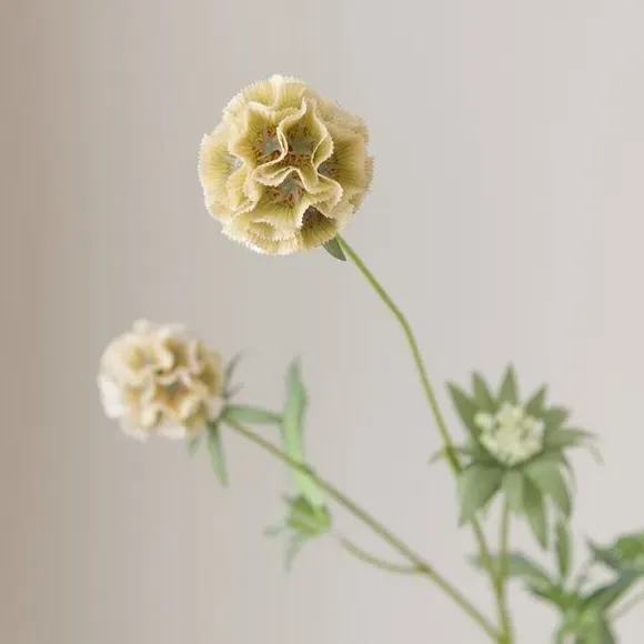 Artificial Scabiosa Stem - Green, Plastic