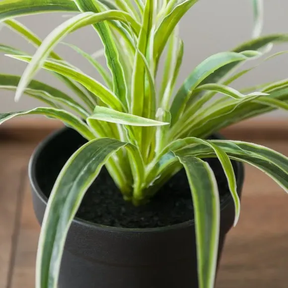 Artificial Spider Plant with Pot - Green, Plastic