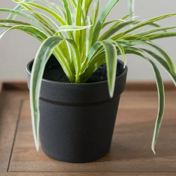 Artificial Spider Plant with Pot - Green, Plastic