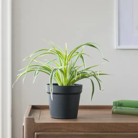 Artificial Spider Plant with Pot - Green, Plastic image