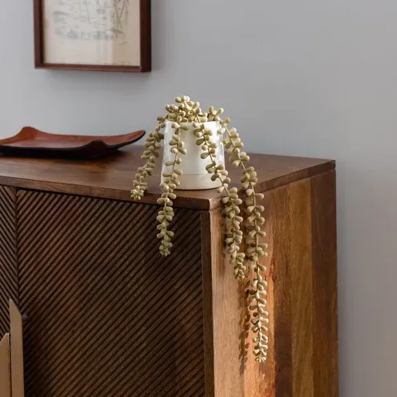 Artificial String of Pearls Plant - Cream, Ceramic image