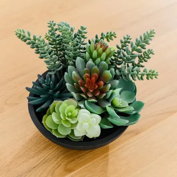 Artificial Succulent in Pot - Black