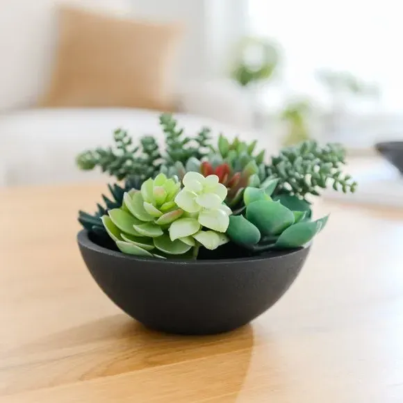 Artificial Succulent in Pot - Black