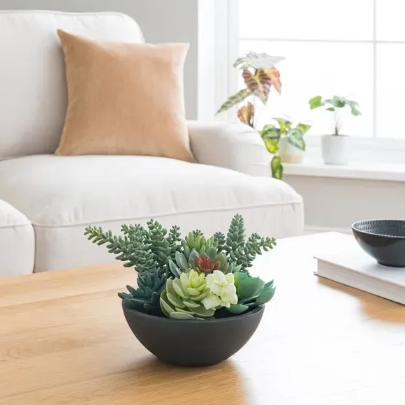 Artificial Succulent in Pot - Black image