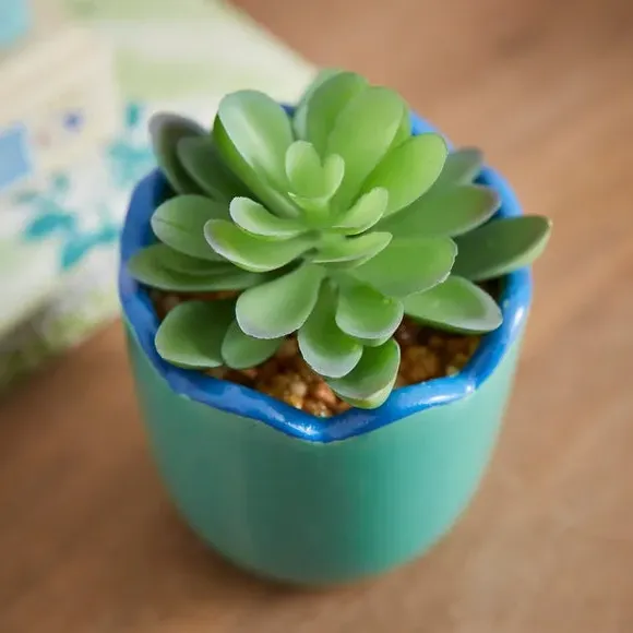 Artificial Succulent in Scalloped Pot - Blue