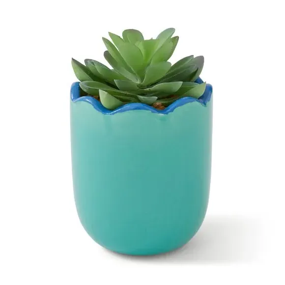 Artificial Succulent in Scalloped Pot - Blue