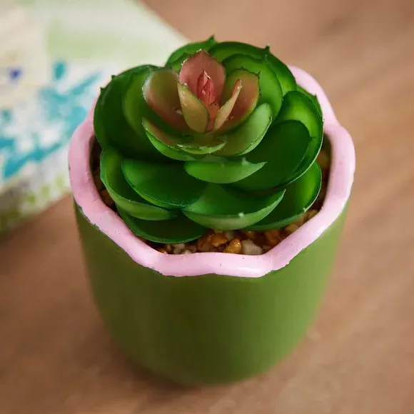 Artificial Succulent in Scalloped Pot - Green