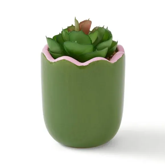 Artificial Succulent in Scalloped Pot - Green
