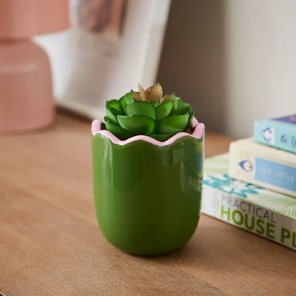 Artificial Succulent in Scalloped Pot - Green